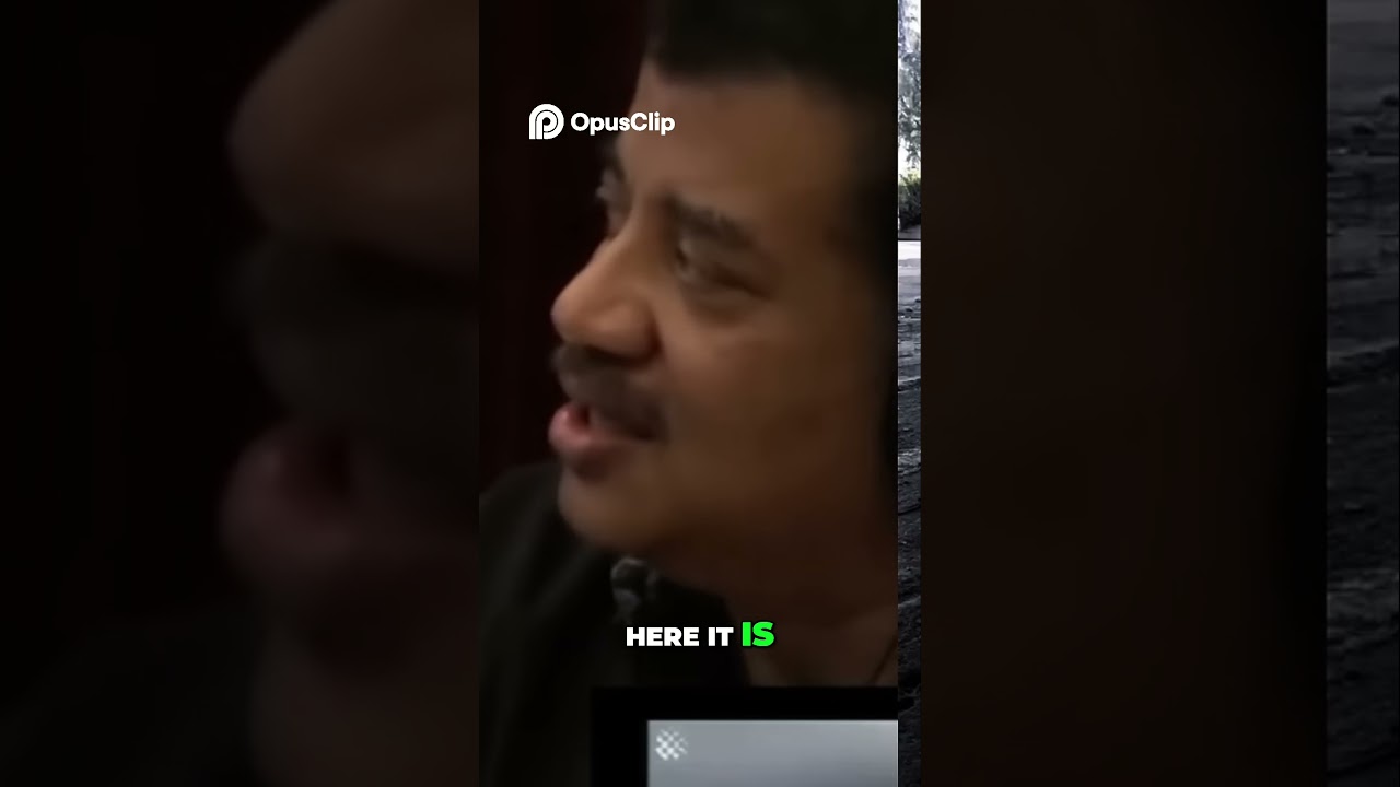 Magpie Genius  Bird Uses Rocks to Get Water! 