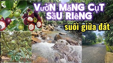 Ước có tiền là mua liền! Nhà vườn trái cây đủ loại có suối giữa đất đúng chất nghỉ dưỡng ở lâm đồng.