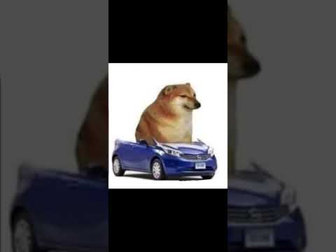 獻世remix