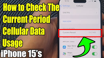 iPhone 15/15 Pro Max: How to Check The Current Period Cellular Data Usage