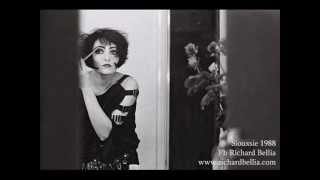 Watch Siouxsie  The Banshees Are You Still Dying Darling video