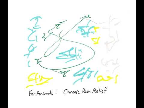 Light Language for Animals: Chronic Pain Relief