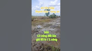 Bán 13 công đất lúa giá rẻ ở xã tân hiệp,thạnh hóa,long an.Sđt 0979920397