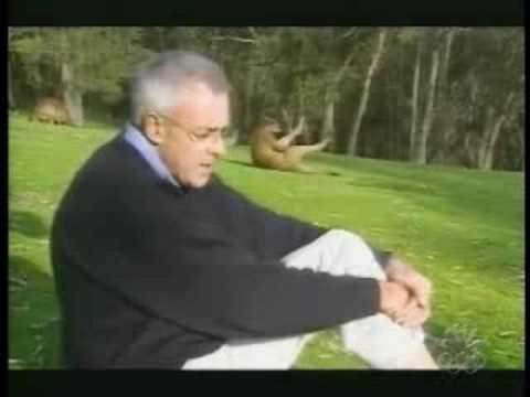 kangaroo an news reporter