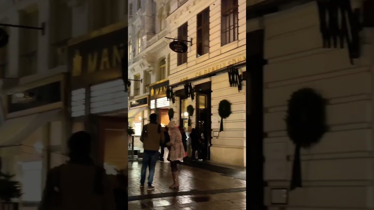 🇦🇹Beautiful walking tour in Vienna, Austria 🌃❤️