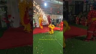 Múa Lân Mini Phun Lửa Tết Trung Thu 2025