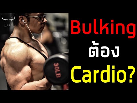 Bulking ต้อง Cardio ไหม ?