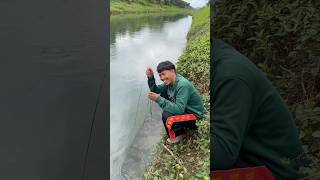 In The Gap Between The Rocks There Are Also Big Fish fish shrimp animals riedwanrichie