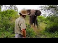 Mans Stands His Ground Against Charging Elephant