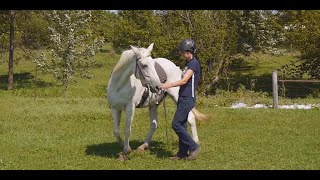 Simple groundwork to help a horse relax