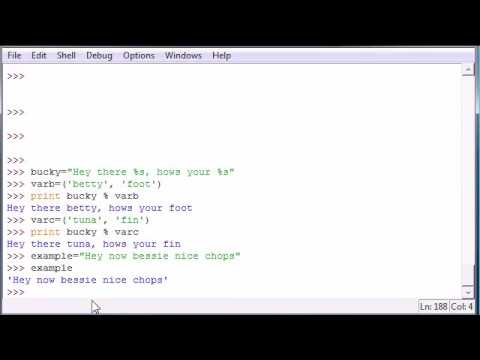 Python Programming Tutorial   17   Strings n Stuff video x flv