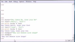 Python Programming Tutorial   17   Strings n Stuff video x flv