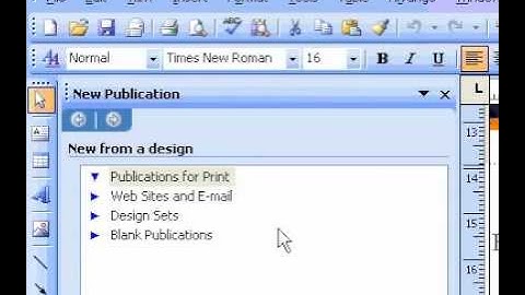 Microsoft Office Publisher 2003 Create a Web site  from a wizard