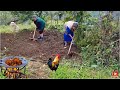 ON THE TOP OF THE MOUNTAIN, GRANDMOTHERS COOKED CHICKEN WITH POMEGRANATE