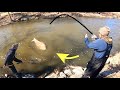 The RIVER FISH of a LIFETIME!! (MASSIVE)