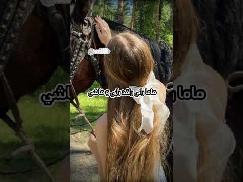 ماما راني رافد رايي و ماشي Algerie تصميمي Dz اكسبلور Virralshorts Ray شاشة سوداء ترند 