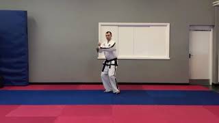 8th Kup Fundamentals
