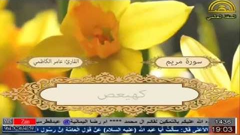 سورة مريم بصوت عامر الكاظمي (تجويد)