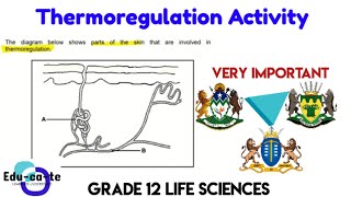 Thermoregulation - Homeostasis practice grade 12