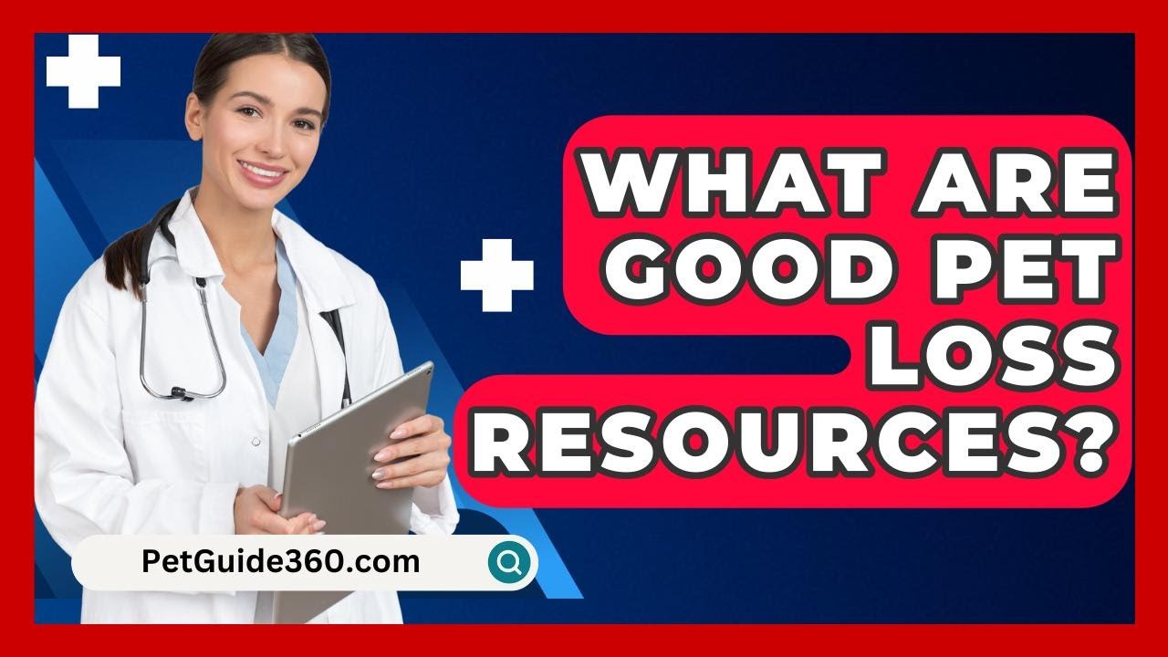 What Are Good Pet Loss Resources? - PetGuide360.com