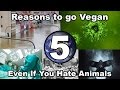 Don't care about animals? 5 reasons you should still go vegan