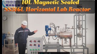 10L Magnetic Sealed SS316L Horizontal Lab Reactor