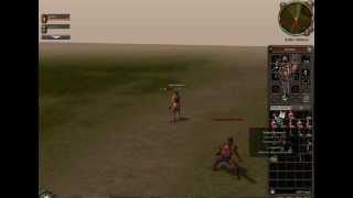 Metin2 LEVEL BOT, FISHBOT, SHOPBOT, FARMER BOT, Hack, Metin2, 2013, decembrie, ianuarie 2013