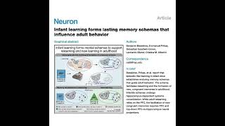 912-Infant Memory Schemas