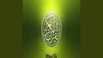 عامر الكاظمي سورة الحج