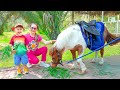 Diana And Roma S Family Zoo Adventure With Animals