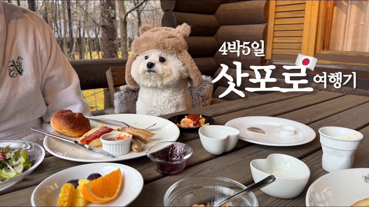 Путешествие в Саппоро на 5 дней 🇯🇵 — и собака едет со мной