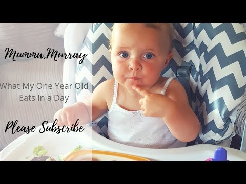 What My One Year Old Eats In A Day | mumma.murray