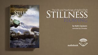 Stillness Flowing | Chapter V: Lifeblood - Observances: Adding Layers