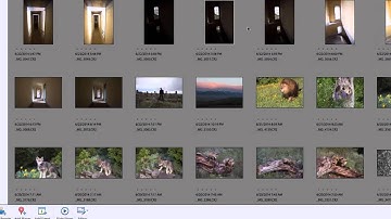 How to use Star Ratings in Photoshop Elements: Workflow