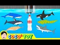 En sharks live under the wash basin 5 kids animals animation dinosaurs adventurecocostoy