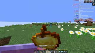 Theobaldthebird kills Minutetech as his target! (lifesteal world)