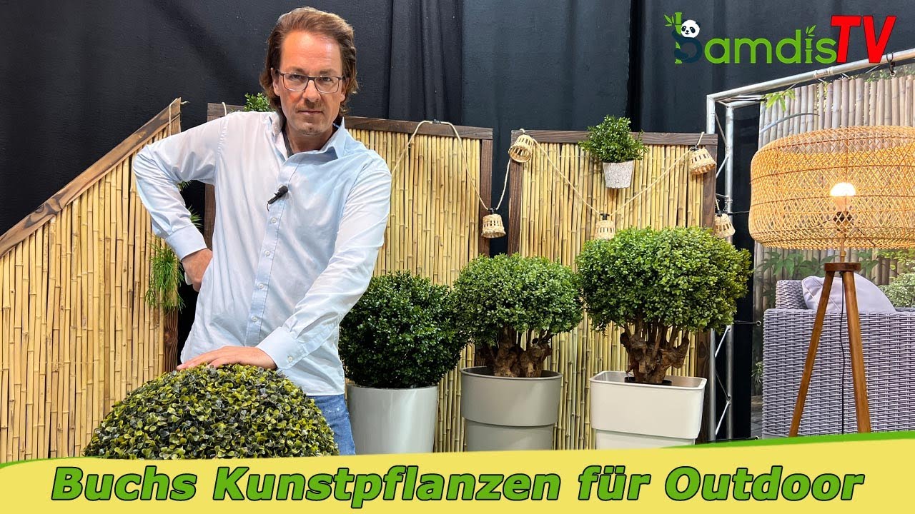 Buchs Kunstpflanzen 40cm fr den Auenbereich online bestellen