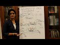 DEVELOPMENT OF THE FACE-HUMAN EMBRYOLOGY-DR ROSE JOSE