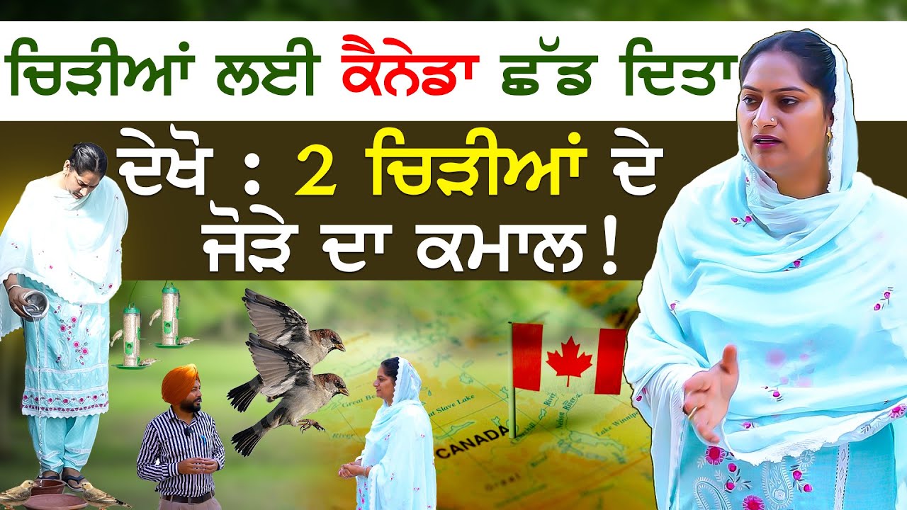 ਚਿੜੀਆਂ ਲਈ Canada ਛੱਡ ਦਿਤਾ ! Kudrat | chidiya | nature lover | Best nature story Rizak