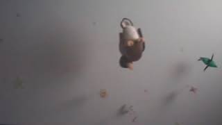 Unboxing Live Action Dumbo Bluray And Dvd