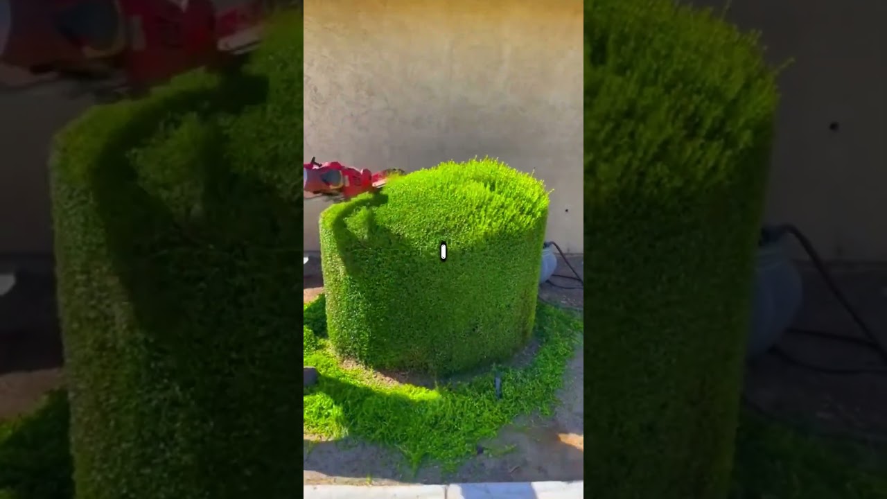 What's A Red Flag When Visiting Someone's House?