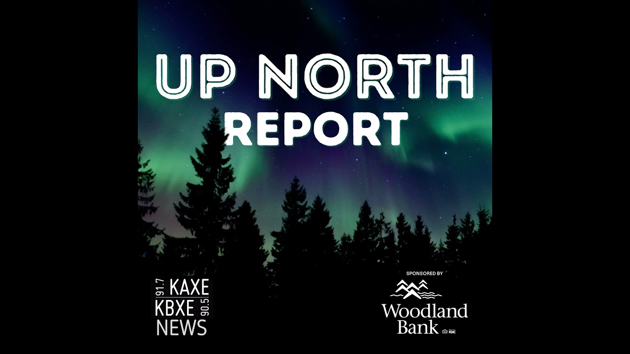 Meet the 2026 Report for Minnesota interns covering the state Capitol