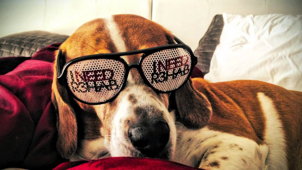 No Doubt - Looking Hot (R3hab Remix)