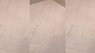 See How Sir Grout Repaired and Sealed the Grout of this Bathroom