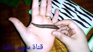 وقت العمل على الابواب 1845