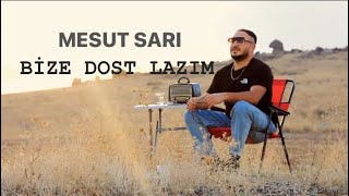 MESUT SARI - BİZE DOST LAZIM - Resimi