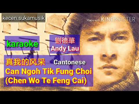 Can Ngoh Tik Fung Choi - Andy Lau ( Zhen Wo De Feng Cai ) karaoke 真我的风采 - 劉德華 Cantonese