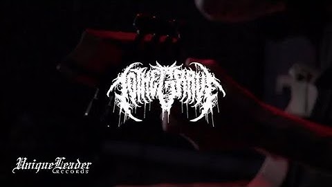 TO THE GRAVE - [•REC] (Official Guitar Playthrough)