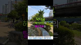 #부천탈모 #부천탈모병원 #인천탈모 #탈모치료 #탈모 #닥터공헤어라인의원