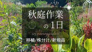 Autumn Gardening | Introducing Purchased Seedlings | Autumn is a